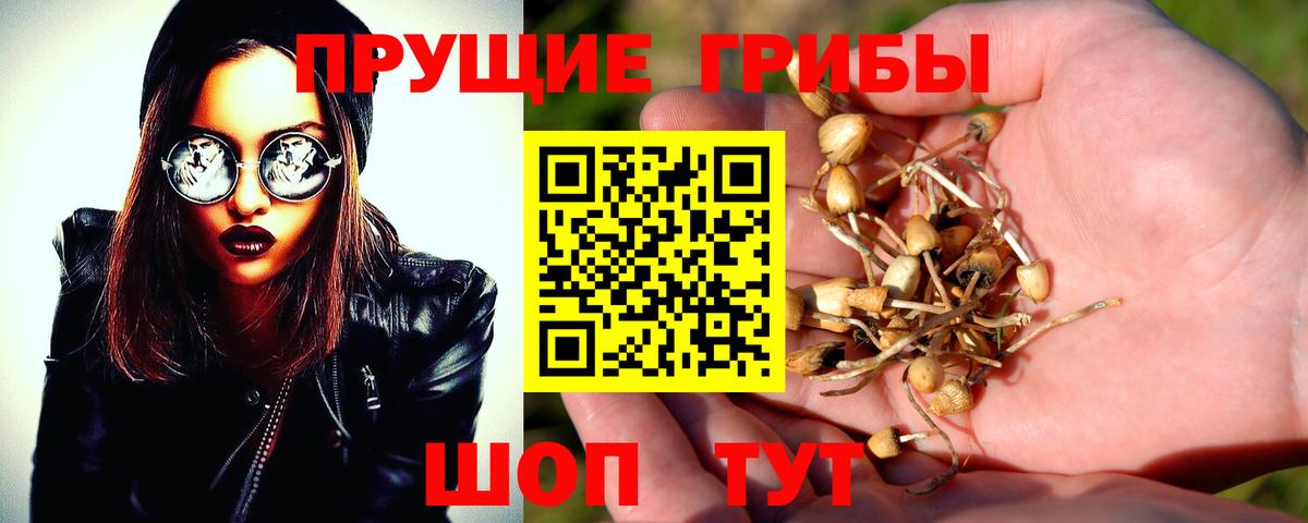 Галлюциногенные грибы MAGIC MUSHROOMS Павловский Посад