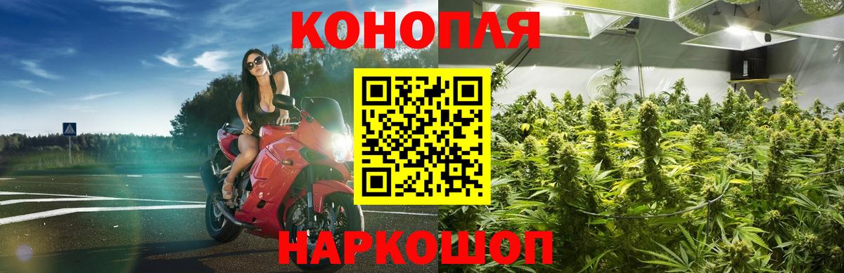 Каннабис White Widow Павловский Посад